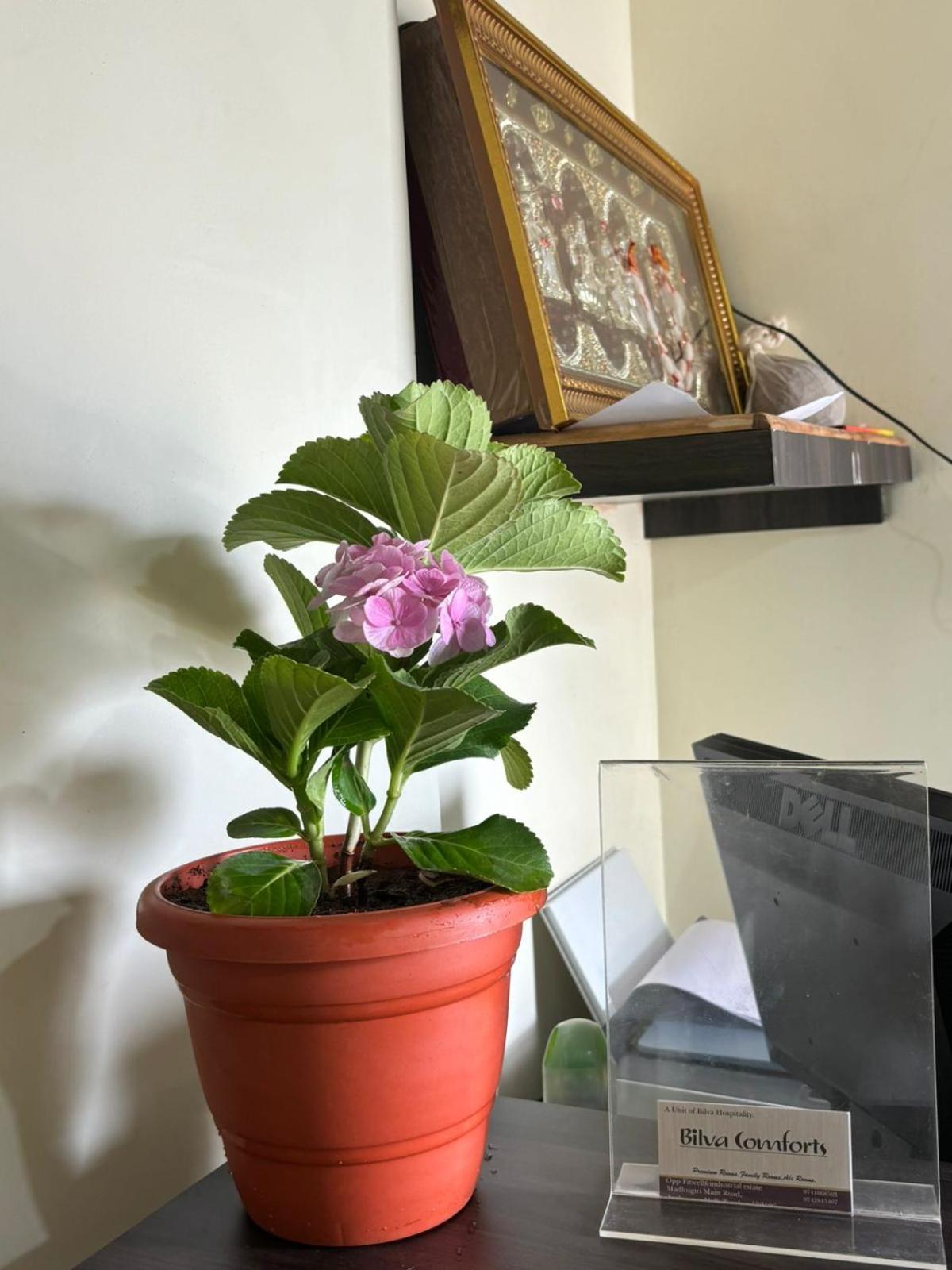 Bilva Comforts Tumkur מראה חיצוני תמונה